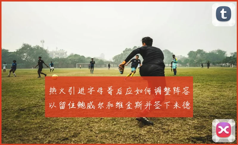 热火引进字母哥后应如何调整阵容以留住鲍威尔和维金斯并签下米德尔顿